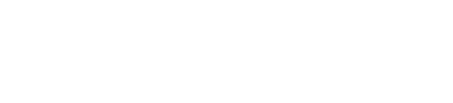 Pune labs Footer logo white1