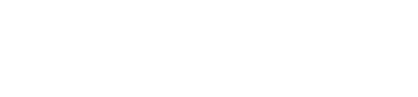 Punelabs-white
